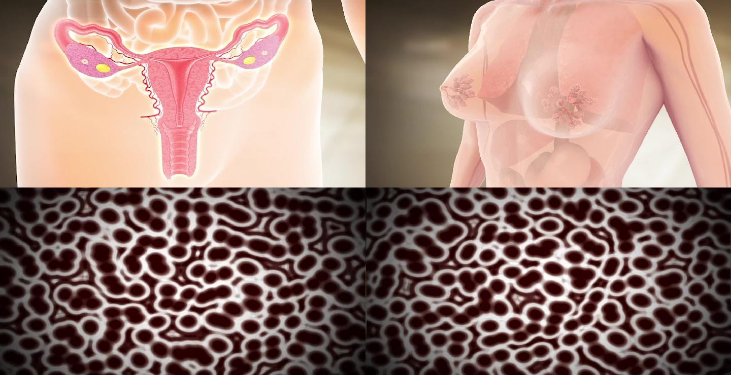 妇科疾病色斑乳腺增生妇科病修复子