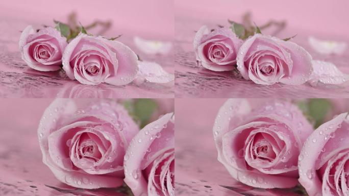 粉玫瑰1080p