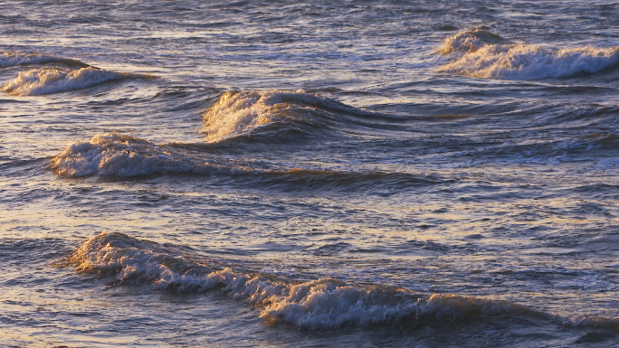 索尼实拍升格海浪浪花海鸥金色海浪