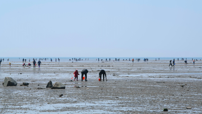 赶海、退潮、赶海人、旅游、海边、挖海货