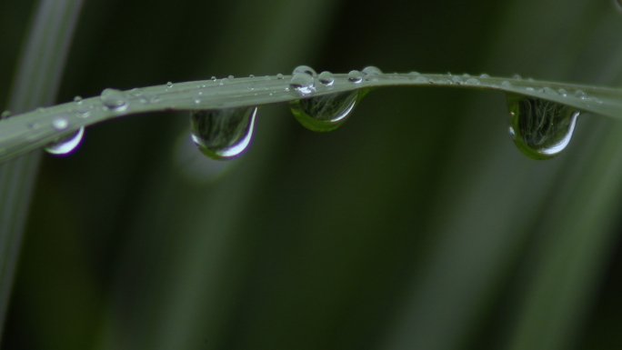 下雨春雨波纹水珠