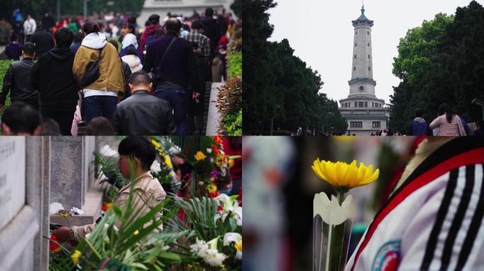 4K清明节烈士公园游园市民祭扫革命先烈空