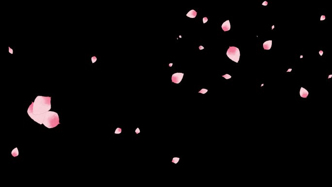 樱花花瓣飘落古风背景4K