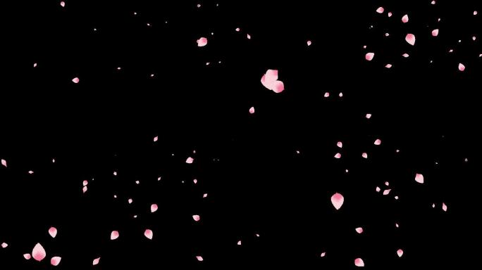 樱花花瓣飘落古风背景4K