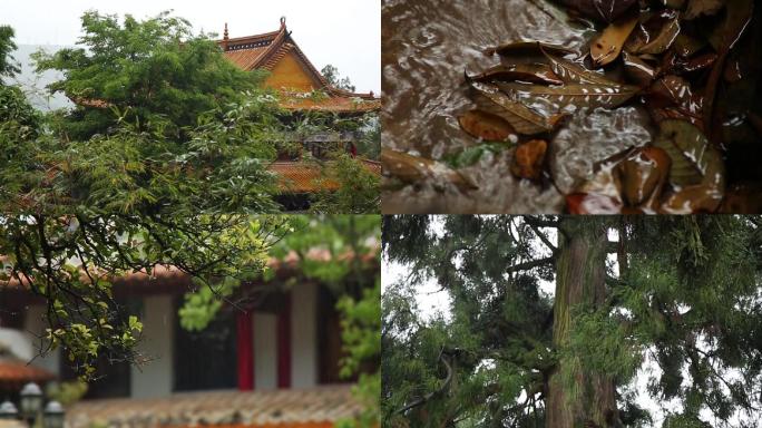 雨中筇竹寺禅院