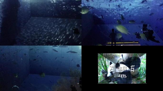裸眼3D沉浸式折幕投影实拍+模拟视频