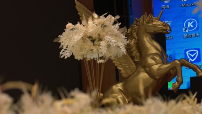 广告片婚庆装饰灯光结婚酒店