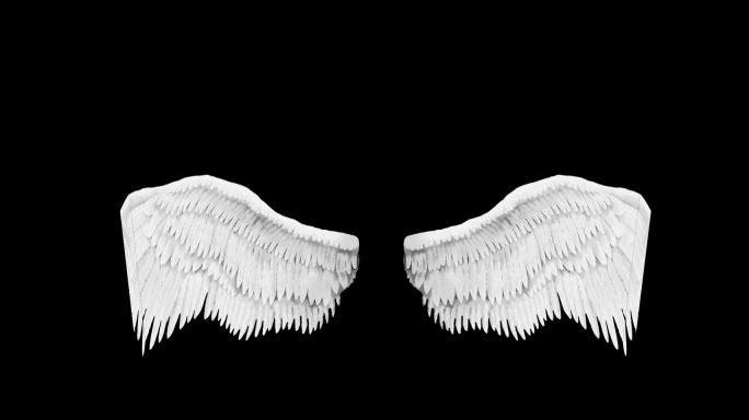【AE模板】白色翅膀天使翅膀无缝循环