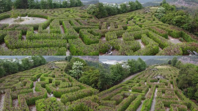 航拍4k广州九龙湖植物迷宫