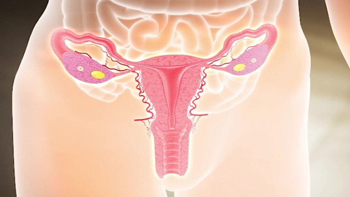 色斑乳腺增生妇科病修复子宫气血恢