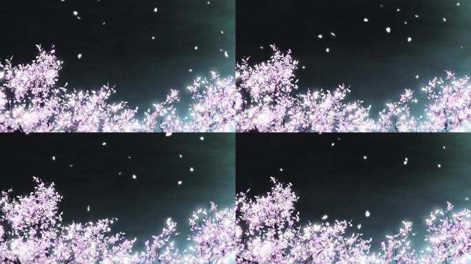 夜晚樱花树花瓣飞舞loop循环