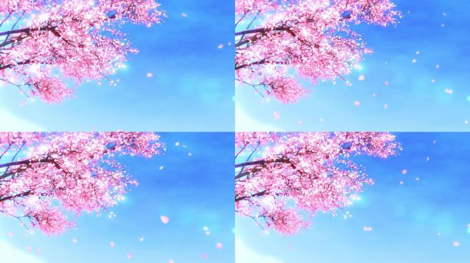 蓝天唯美花瓣飘落樱花树循环视频