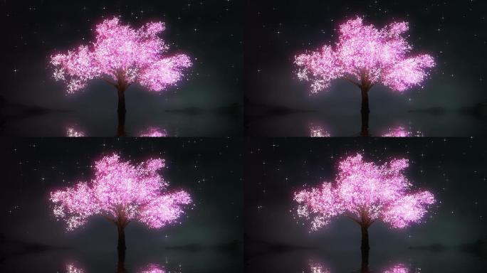 4K夜空下唯美樱花树循环视频