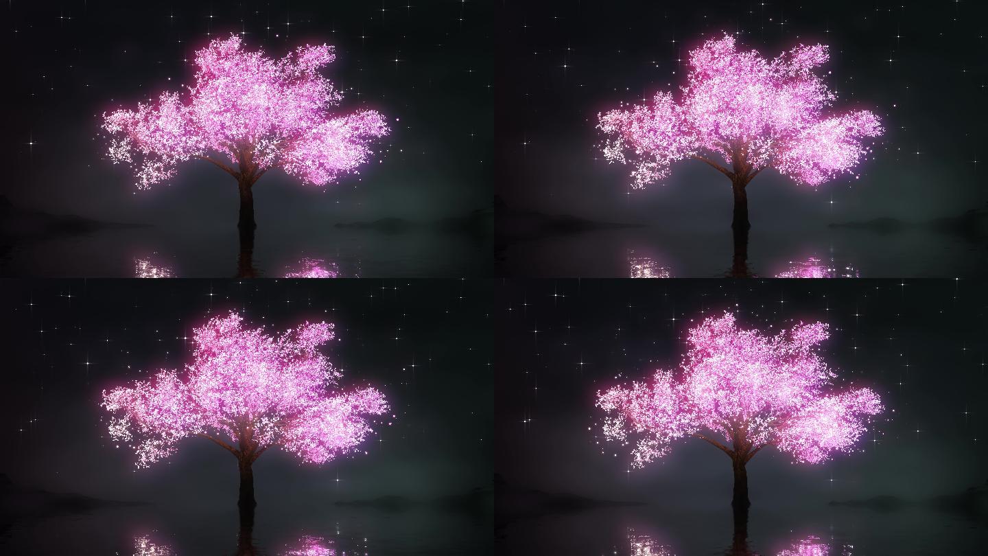 4K夜空下唯美樱花树循环视频