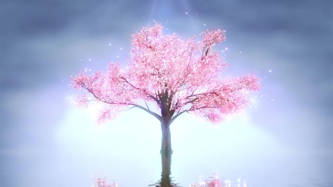 4K唯美浪漫樱花树循环视频