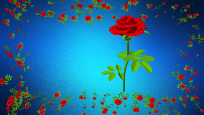 一支红玫瑰3