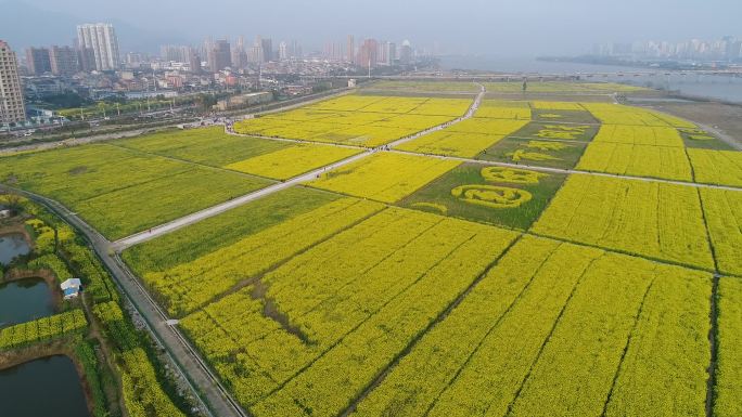 高清航拍温州永嘉瓯北天润都市田园