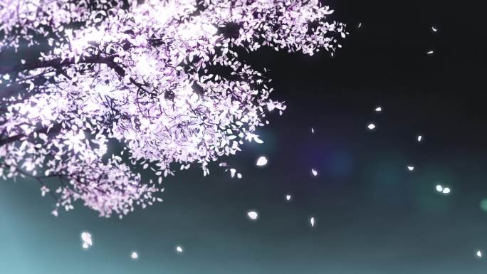 夜空下唯美樱花树花瓣飞舞循环视频