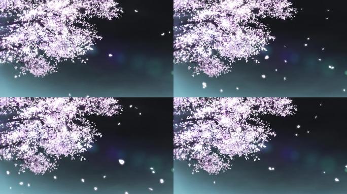 夜空下唯美樱花树花瓣飞舞循环视频