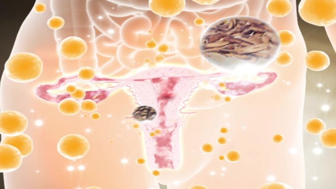 色斑乳腺增生妇科病修复子宫气血恢