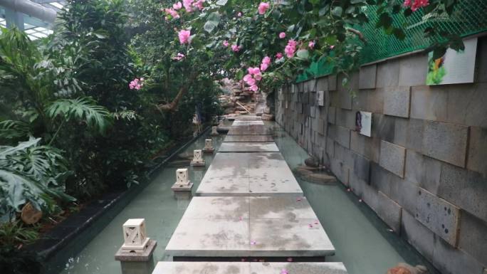 热带雨林风格室内温泉