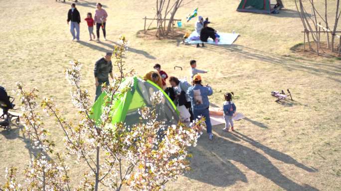 4K公园人群公园人员游玩帐篷