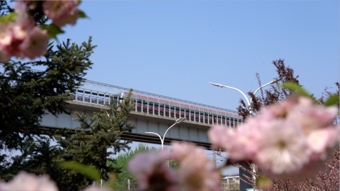 4K拍摄春天花朵地铁城铁