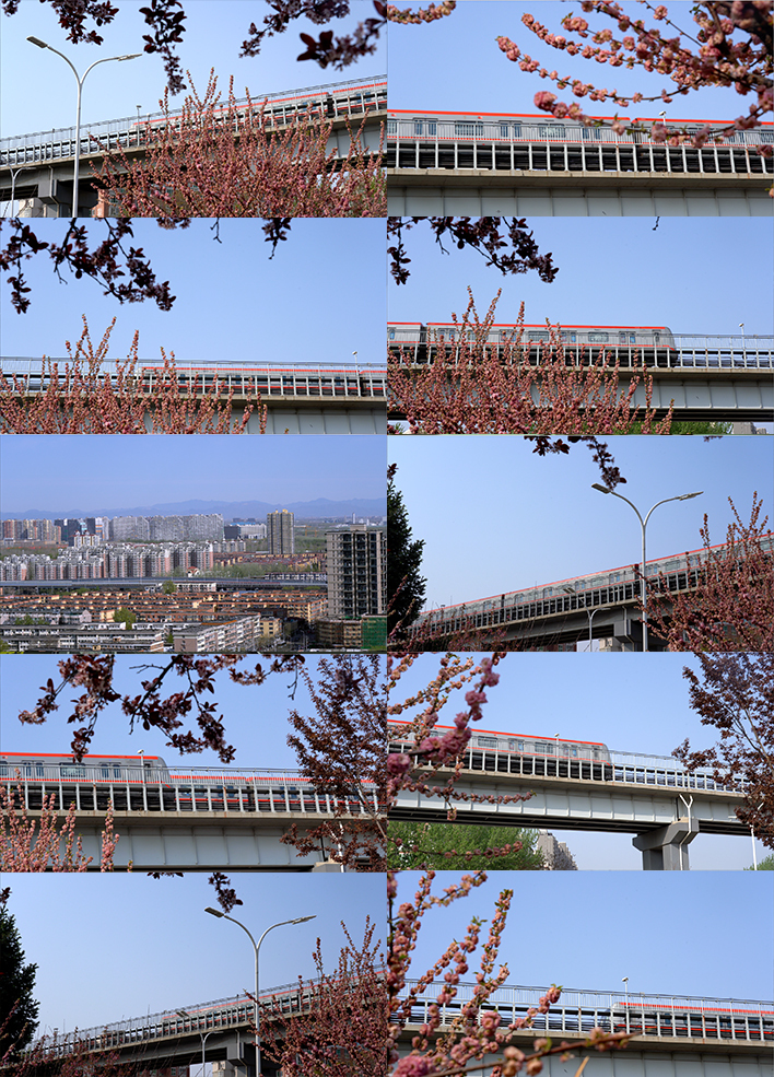 4K拍摄春天花朵地铁01