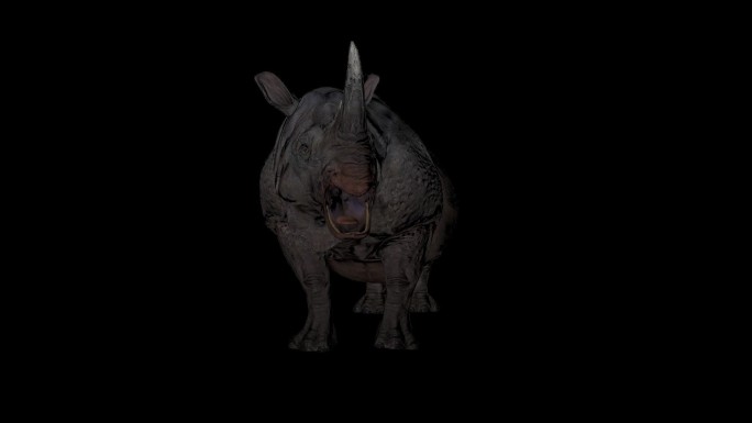 3D犀牛带透明通道咆哮素材