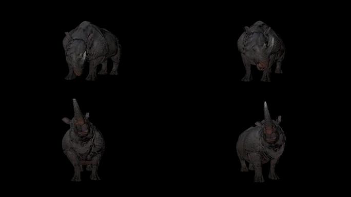 3D犀牛带透明通道咆哮素材