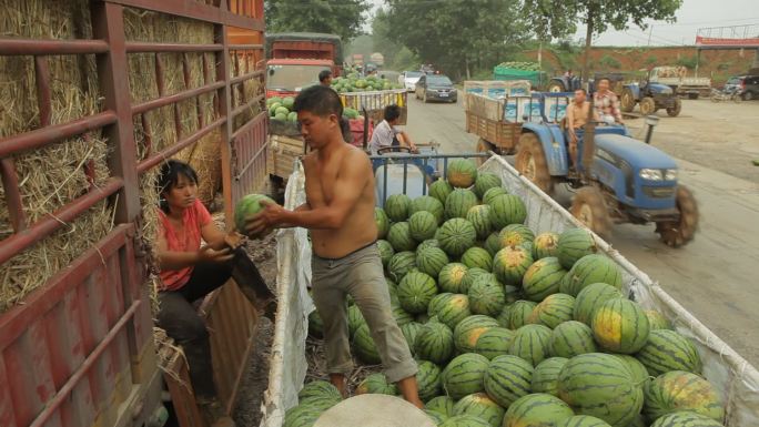 卖西瓜的农民