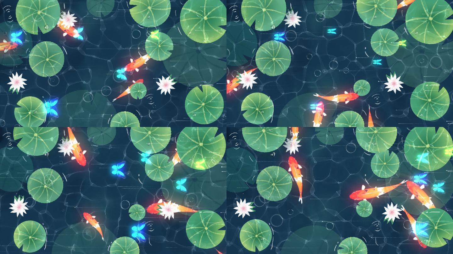 莲花池塘锦鲤地面投影视频