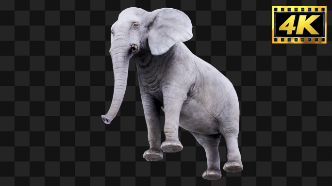 原创大象全息特效【Alpha通道】31