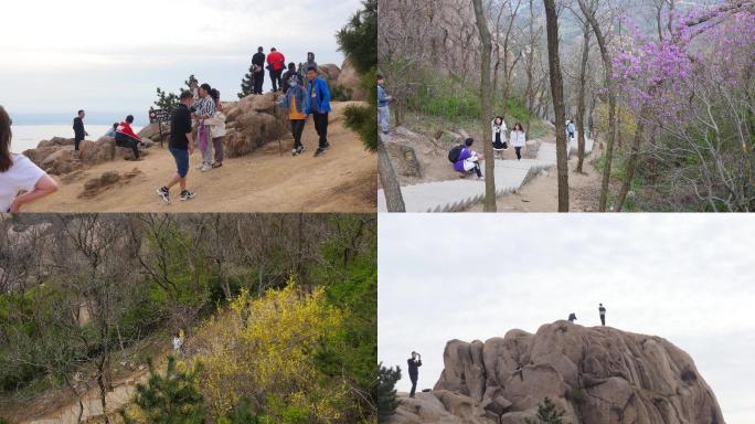 青岛大珠山旅游踏青