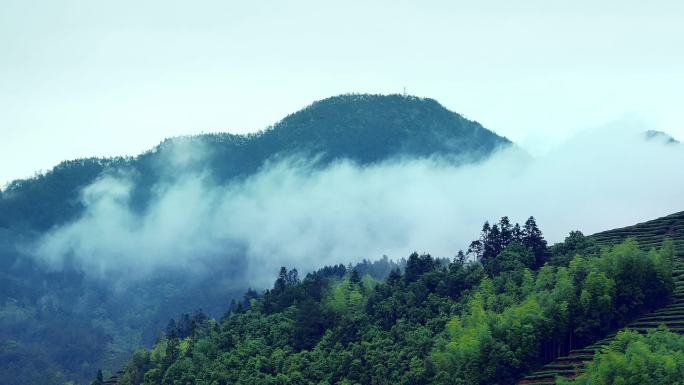 武夷山·高清茶山云绕仙境云卷云舒（地拍）