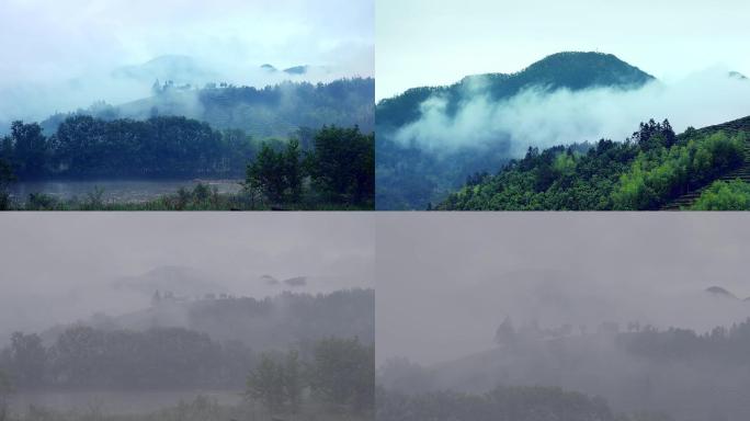 武夷山·高清茶山云绕仙境云卷云舒（地拍）