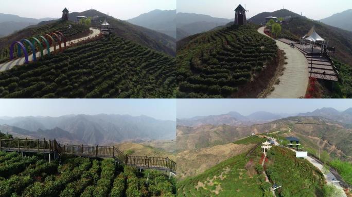 中国最北端高山茶园航拍
