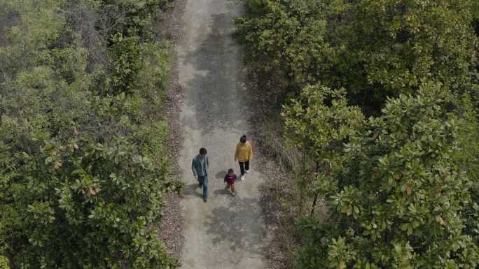 4K森林中牵手走路的一家人航拍
