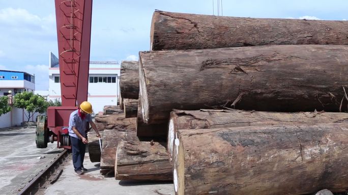 工厂仓库木头大木头老木头堆放实木材大场景