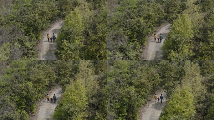 4K森林中牵手走路的一家人航拍