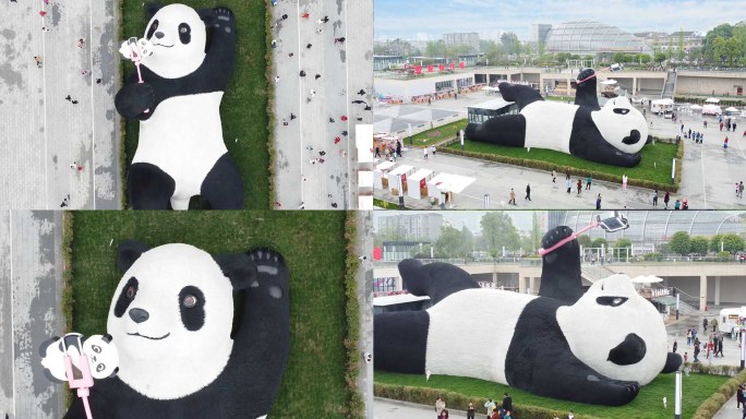 4K成都新熊猫网红打卡地