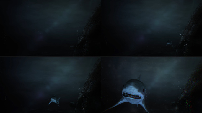 深海里鲨鱼张开嘴巴4K视频素材