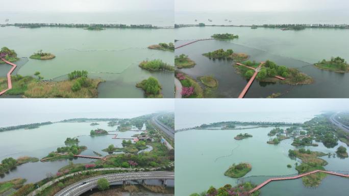 贡湖湾景区湿地公园航