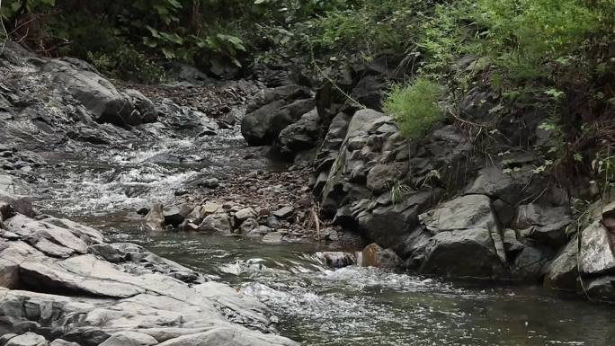 溪流瀑布小河蝴蝶清澈小溪乡村深山实拍素材