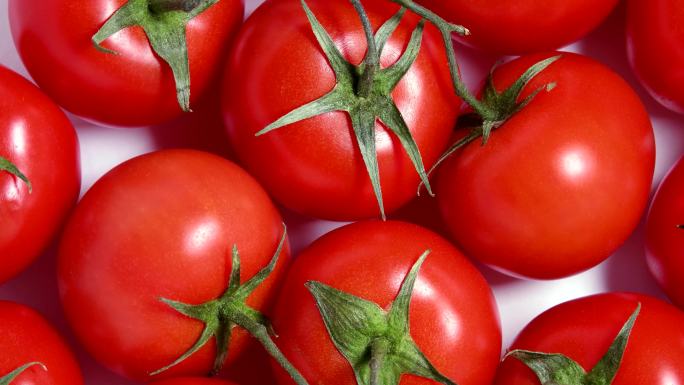 4K番茄西红柿水果蔬菜红色番茄