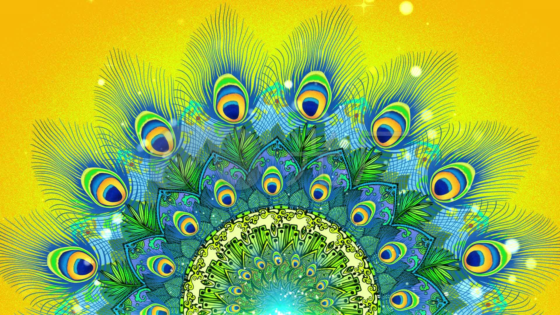 孔雀舞孔雀羽毛舞蹈背景_1920x1080_高清视频素材下载(编号:5672082)