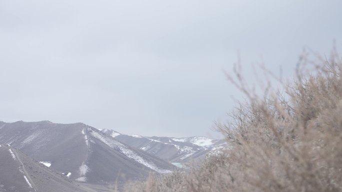 远山戈壁雪荒凉孤单