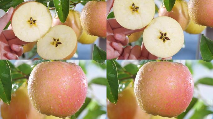 新鲜雀斑美人苹果