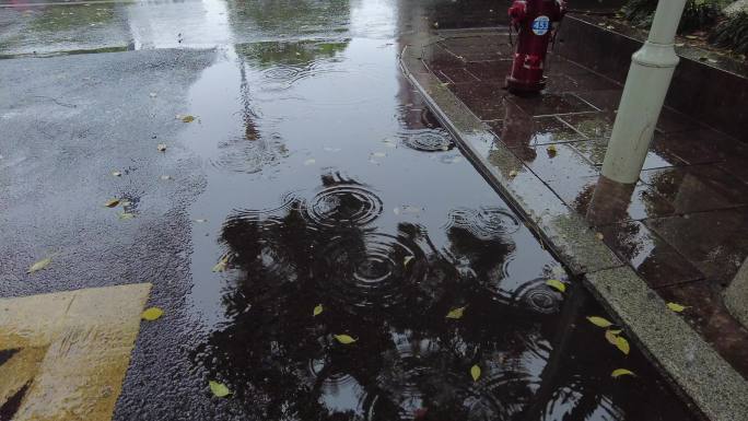 下雨天的街道