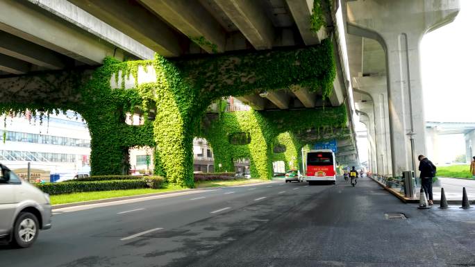 城市立体绿化成都二环高架爬山虎